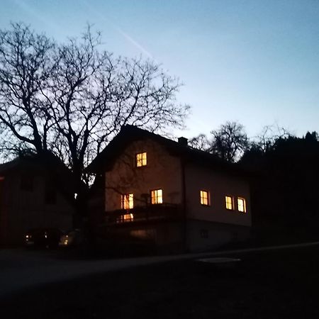 Ferienwohnung Am Sattelhof Türnitz Esterno foto