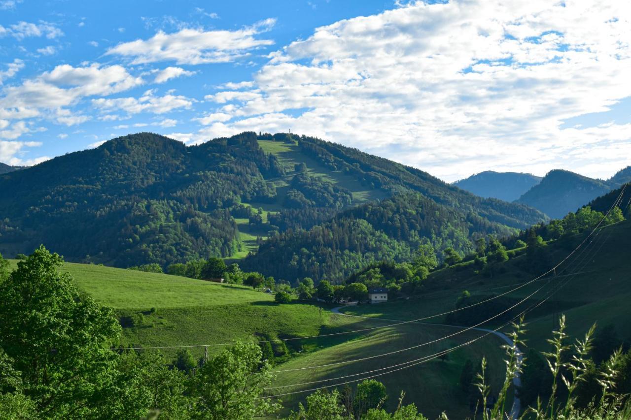 Ferienwohnung Am Sattelhof Türnitz Esterno foto