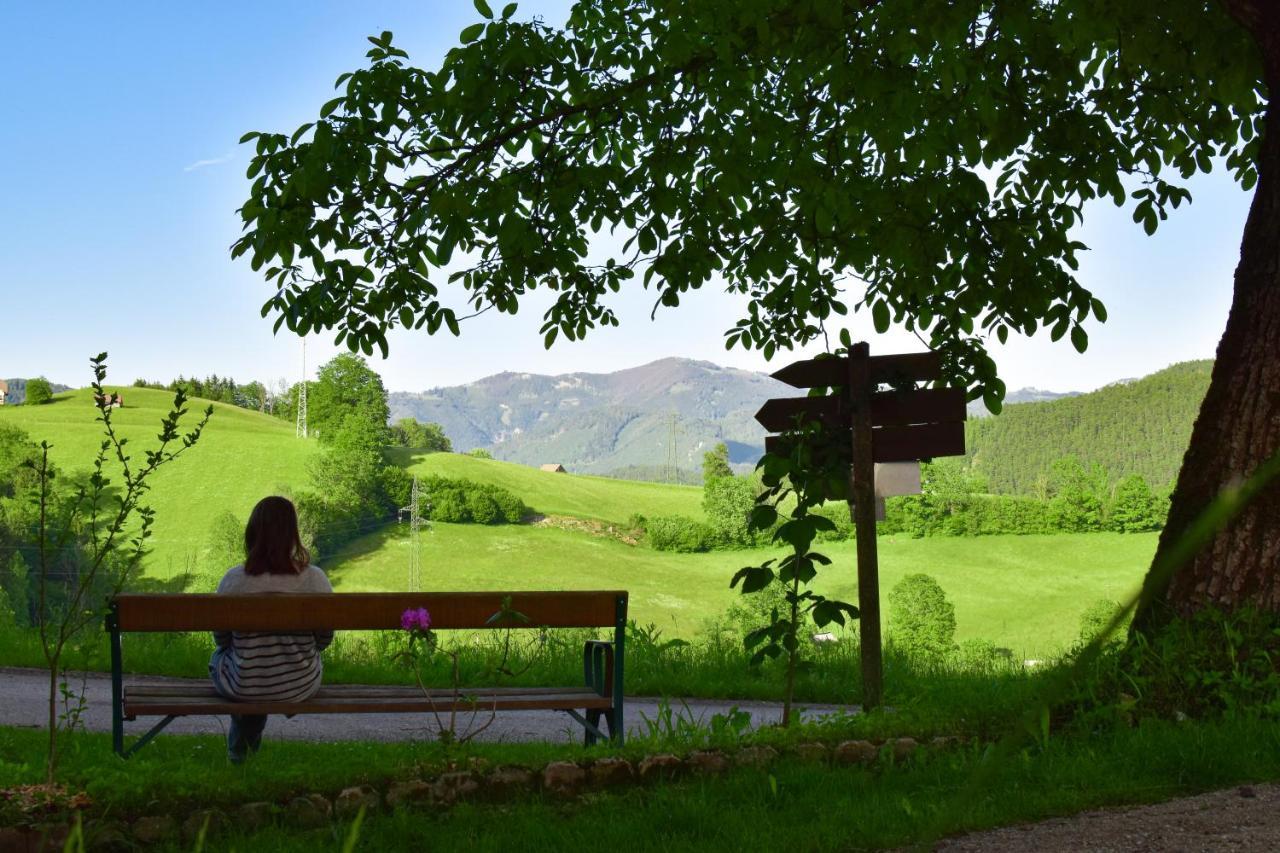 Ferienwohnung Am Sattelhof Türnitz Esterno foto