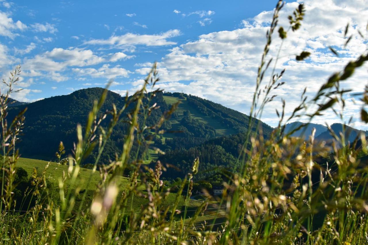 Ferienwohnung Am Sattelhof Türnitz Esterno foto